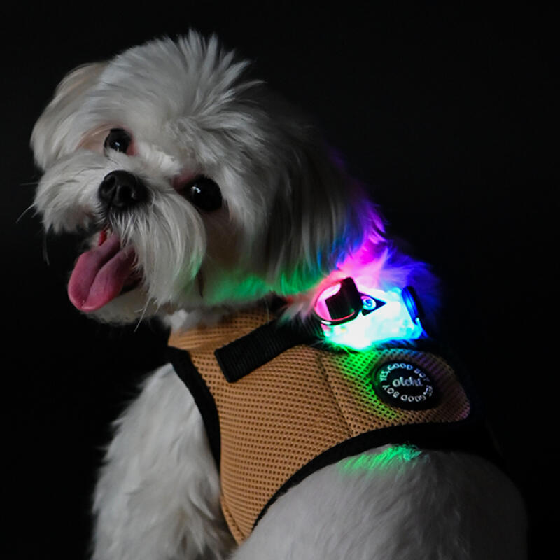 Combi LED Harness XL (OAVA-HB6295)