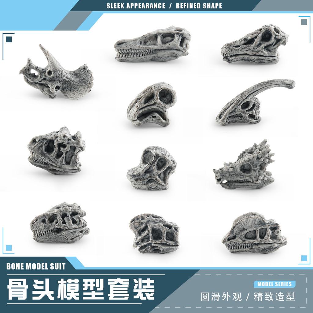 Highquality Dinosaur Realistic Skull Model For Childrens Development Cognitive