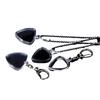 Guitarists Storage Guitar Pick Collection Box Clear Holder Keyring Bag Heart Shaped Picks Size Case Musical Accessories