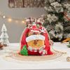 Christmas Gift Bag Christmas Eve Portable Apple Bag Candy Bag Safe Fruit Packaging Box Small Gift Bag