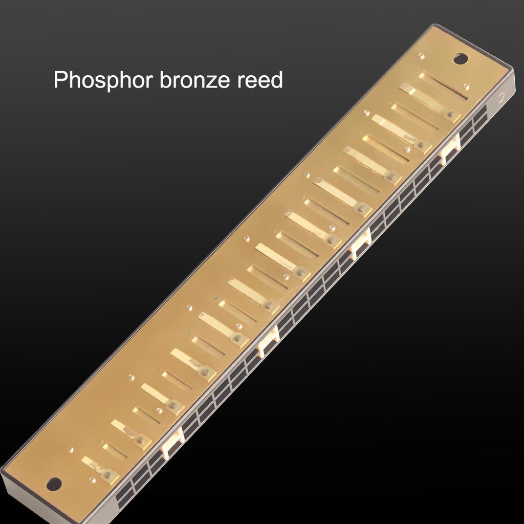 Guoguang Tremolo Harmonica 24 Hole Key C Blues Harp Mouth Organ for Beginner Kit with Case