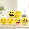 Cute Stuffed Throw Pillow for Office Home Decor