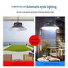E1000 Solar Outdoor Dual Pendant Light with 3 Color Modes