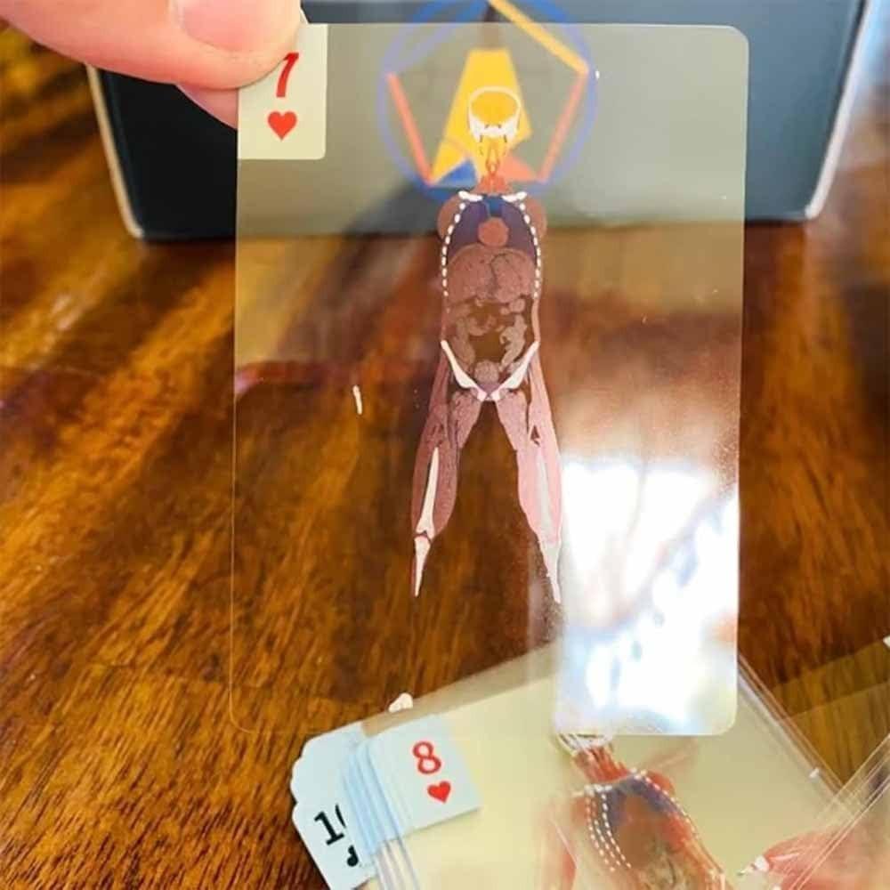 Le Mannequin Body Deck, Cartes à jouer squelettes, Cartes de poker anatomiques transparentes, Squelettes, Dessins radiographiques, Cadeau éducatif