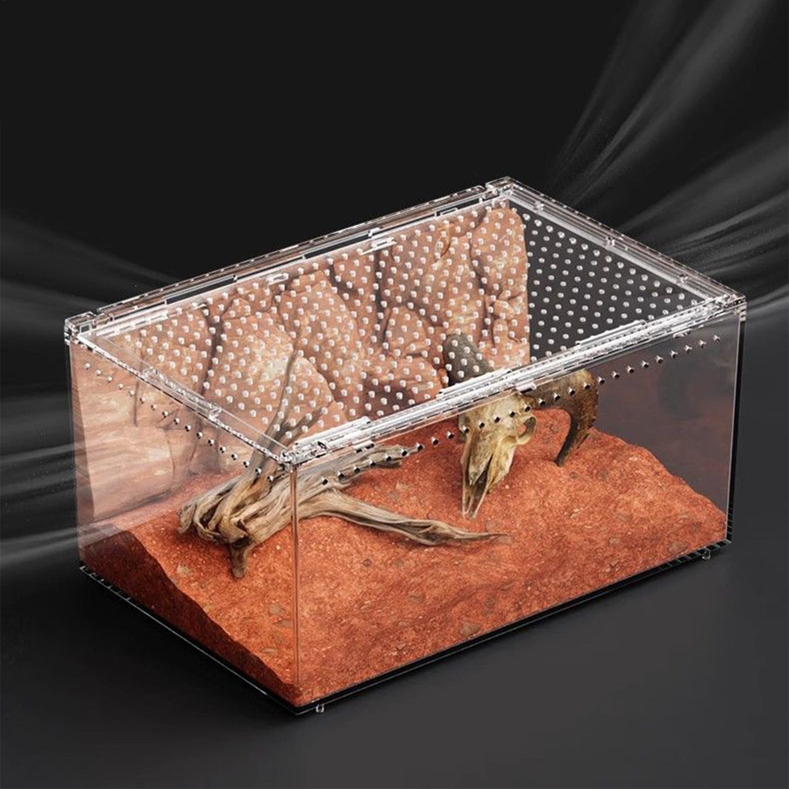 Акриловый прозрачный террариум с вентиляцией для прыгающих пауков, террариум для рептилий, ящик для разведения богомолов, для лягушек, ящериц China Mainland