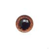 100 Pieces 16 D Glitter Toy for Bear Crochet Puppet Stuffed Doll Making Accessories