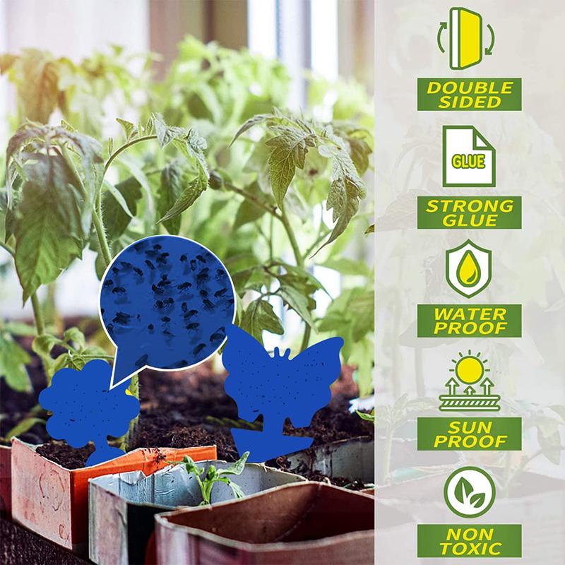 Ekologické lepicí pasti na mouchy a hmyz - Atraktant na bázi ovoce chytá molice, komáry, mšice a další rostlinné škůdce