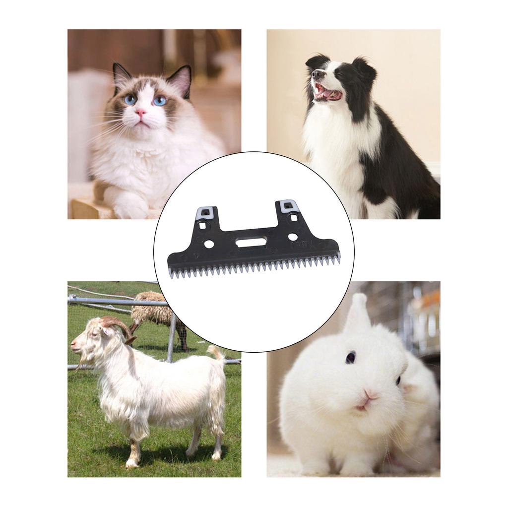 Dog Shaver Detachable Blade Pet Trimmers Professional Grooming Tool Accessories Wide Blade Grooming Replacement Blade