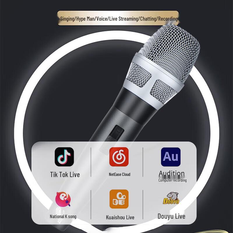 Huidu F14 Professional Wired Microphone (CN version)