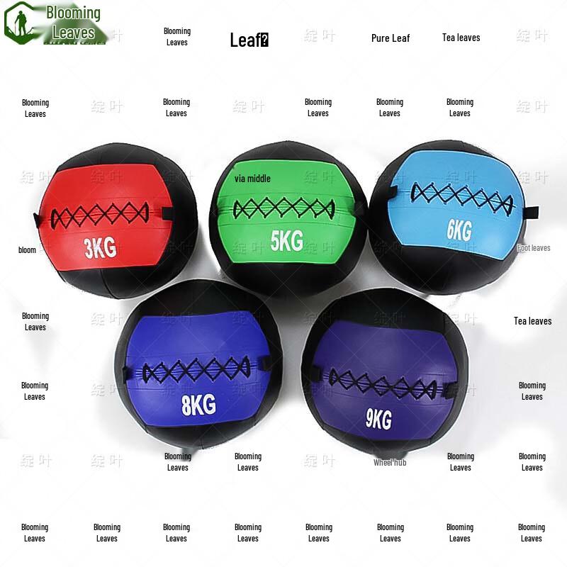 Zhan Ye Soft Medicine Ball
