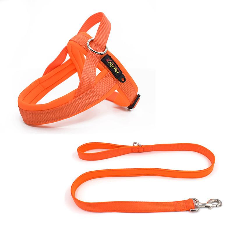 Kellypet Pet Harness And Leash Set With Adjustable Nylon For Small Dogs