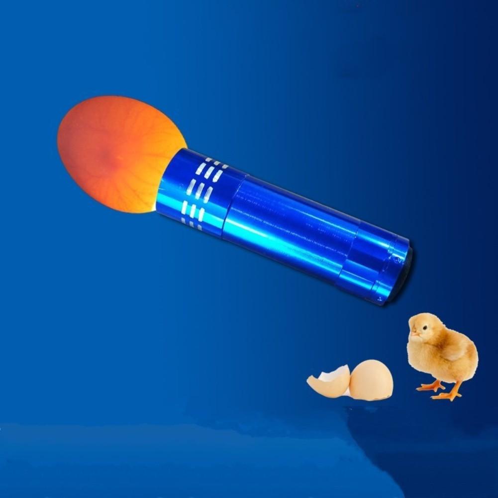 Egg Illuminator For Chicks Ducks Gooses Doves Parrots Birds Egg Tester Candling Lamp For Light Dark Hatching
