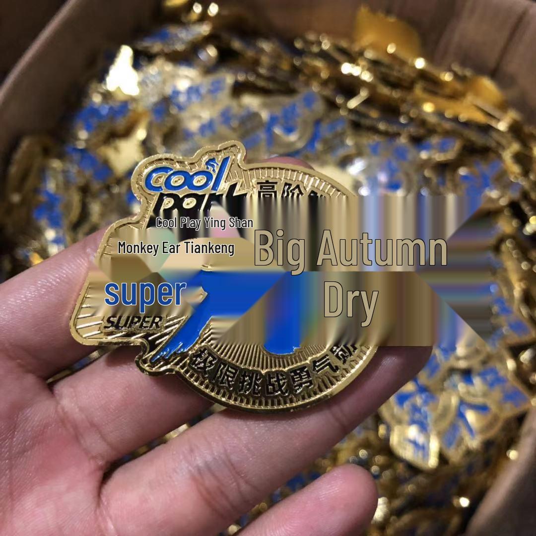 Custom School Emblem Zinc Alloy Enamel Brooch Zinc Alloy