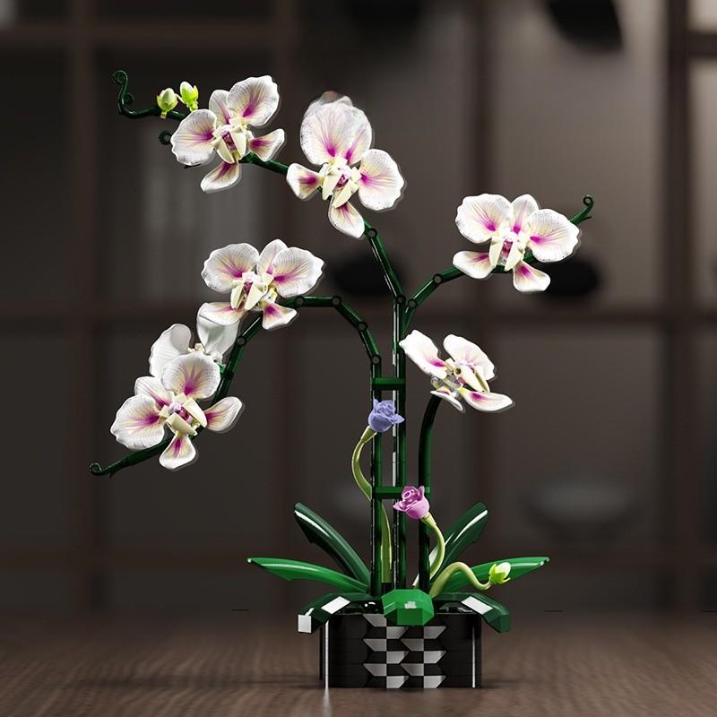Building Cymbidium Plastic Block Flower Toy Set For Diy Creative Toy Building