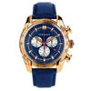 VDB030014 V-Ray Gold-Tone Men's Watch