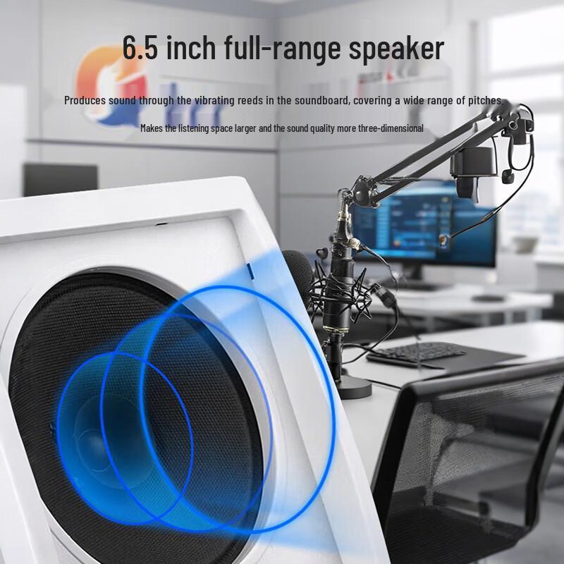 WISHU FD-390-A Public Address System Kit (CN version)