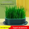 Hydroponic Cat Grass Seed Tray - Soil-less Wheat Grass Snack for Cats