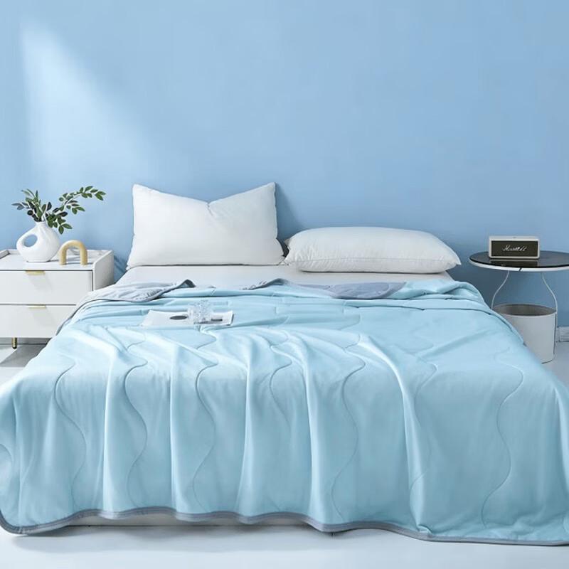 Pierte Paul Cooling Tencel Summer Quilt