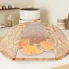 Breathable Food Covers Anti Fly Mosquito Vegetable Cover Umbrella Fruit Picnic Protect Net