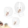 Hamster Exercise Wheel Running Toy Pets Supplies Round with Rack Jogging Roller