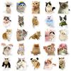 100 PC Cute Pet Animal Decoration Mobile Computer Stickers
