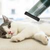Cat Hair Vacuum Electric Pet Brush Vacuum For Shedding Multifunctional Small Animals Cleaning Tool Handheld Lint Remover For