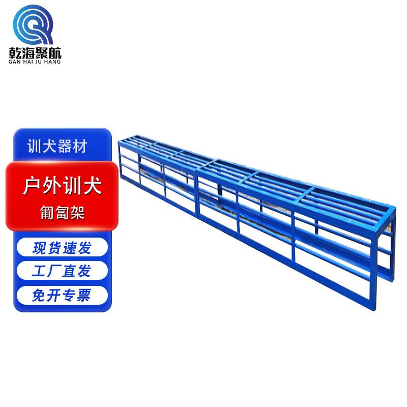 Professional Outdoor Dog Training Equipment