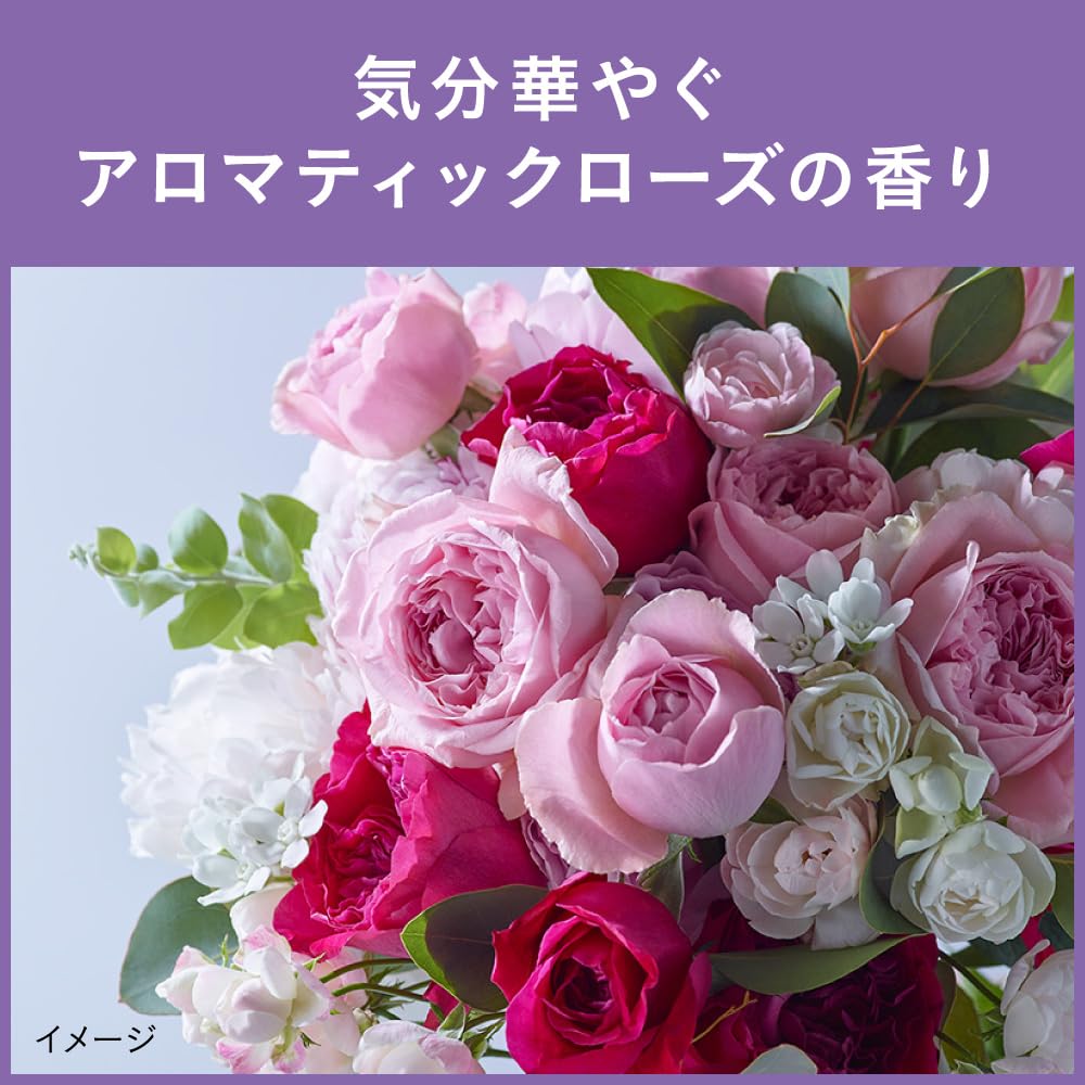 Segreta Shampoo Pump 430ml