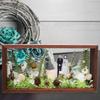 Gedroogde Bloemen Display Case Schaduwkast Frame Doe-het-zelf Cadeaus Rechthoekig Geheugen Houten Geperst