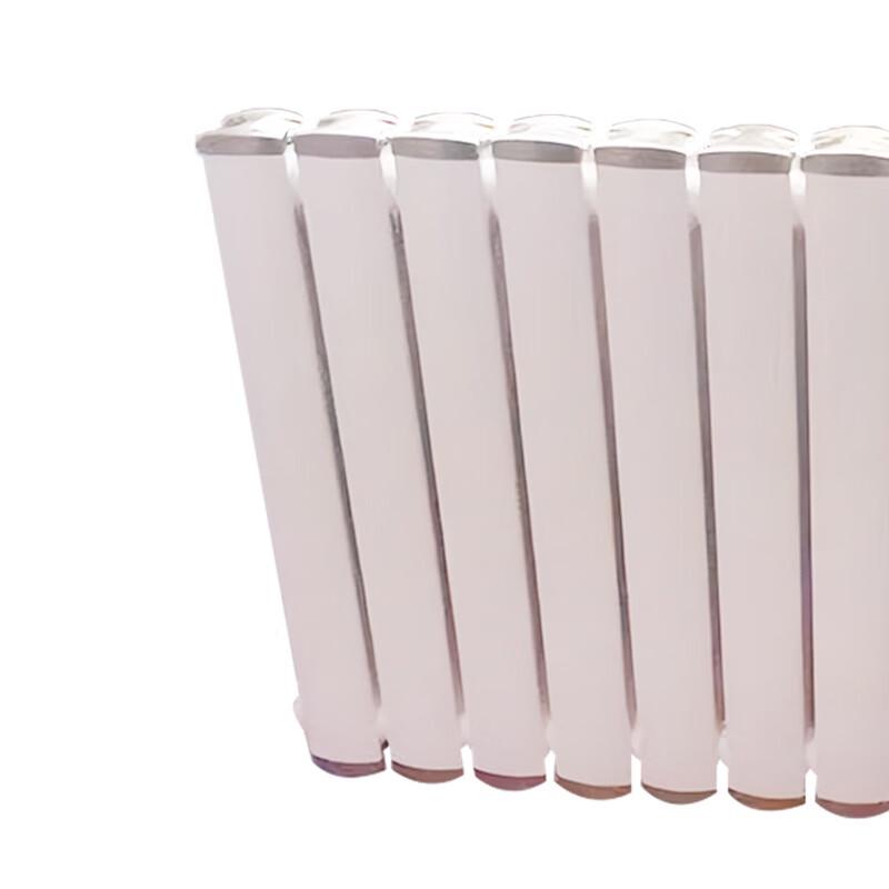 Aluminum-Plastic Composite Column Radiator