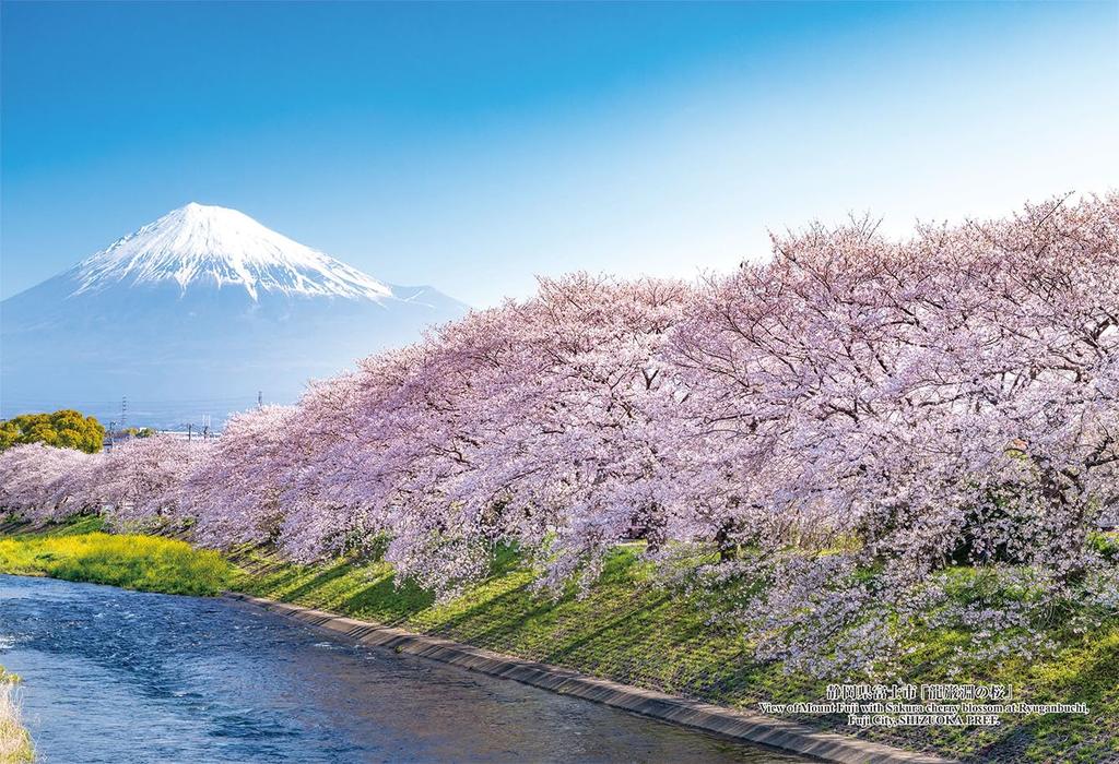 Cuties In 300 Piece Jigsaw Puzzle 86 Japanese Cities No Fuji Shizuoka Prefecture with Glue and Sponge [Made Japan] "Ryuganbuchi Sakura" City,