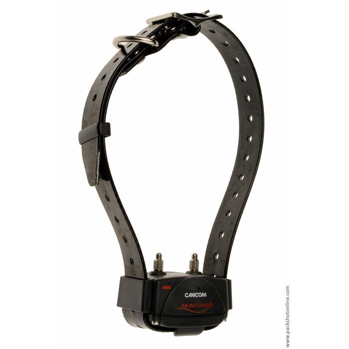 Collier seul de dressage canicom avec sangle noire
