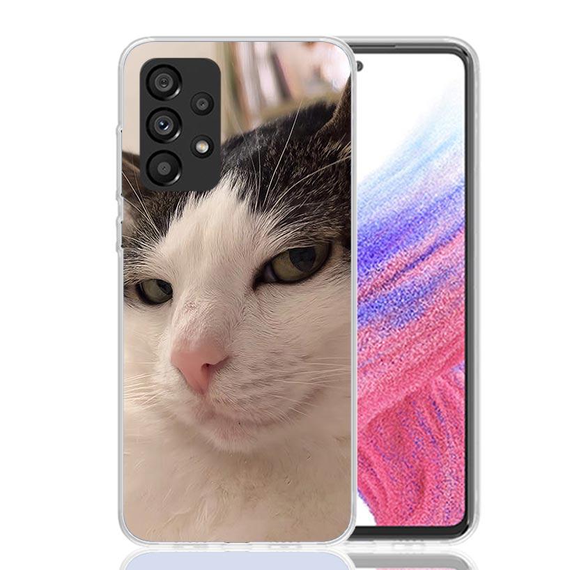 Pet Cat Funny Memes Phone Case For Samsung Galaxy A52 A32 A22 A12 A02S A50S A30S A51 A31 AA71 Note 20 Ultra 10 S10 Plus Galaxy A