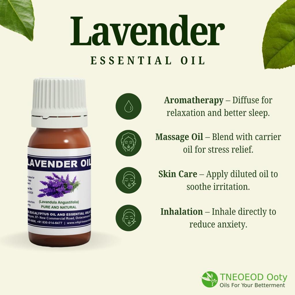 TNEOEOD Ooty Lavender oil, Essential oil for Skin & Hair, 100% Pure and Natural 30ml (Pack of 1)