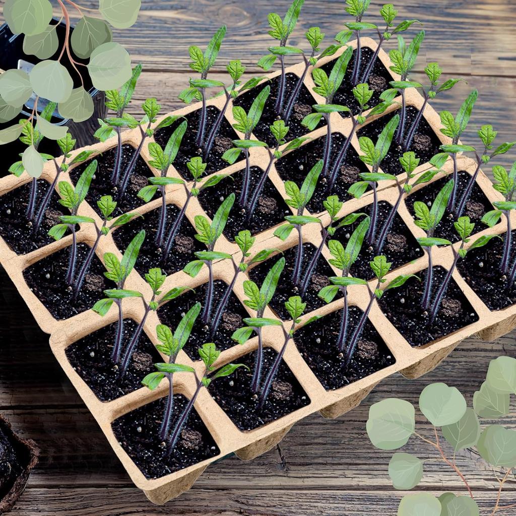 10Grids Cell Nursery Pots for Seedling Starter Tray Biodegradable Pulp Seedling Cup Garden Plant Seedling Germination Tool