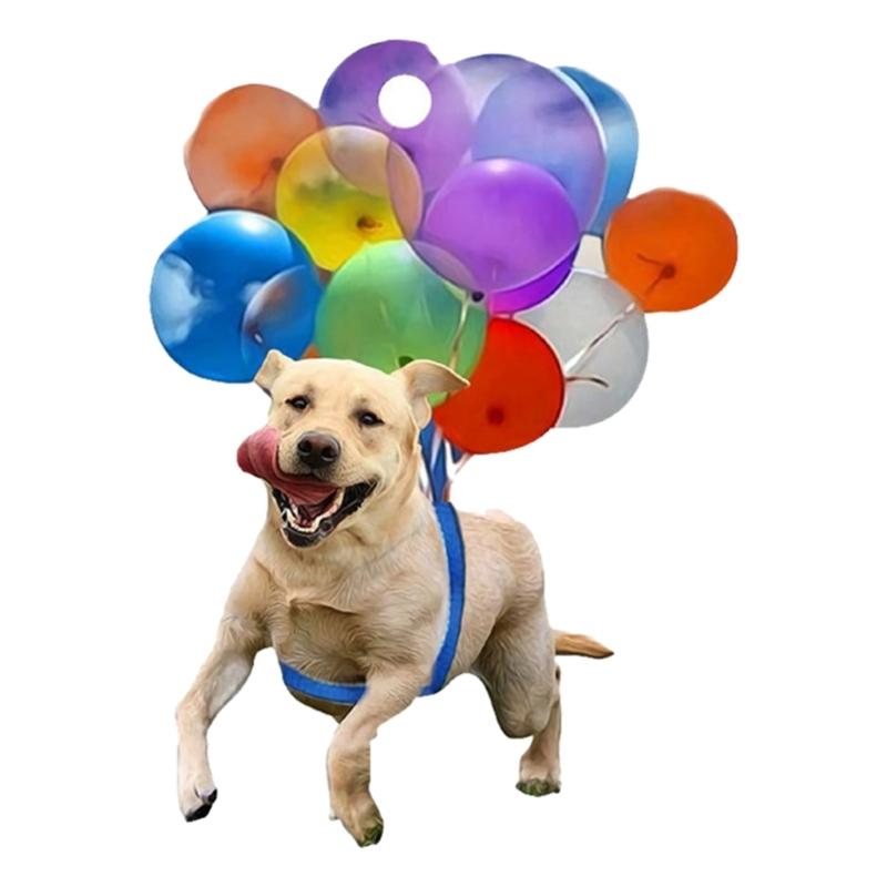 

Car Pendant Colorful Balloon Puppy Car Pendant Decor Automotive Rearview Charm Interior Hanging Cute Dog Ornament