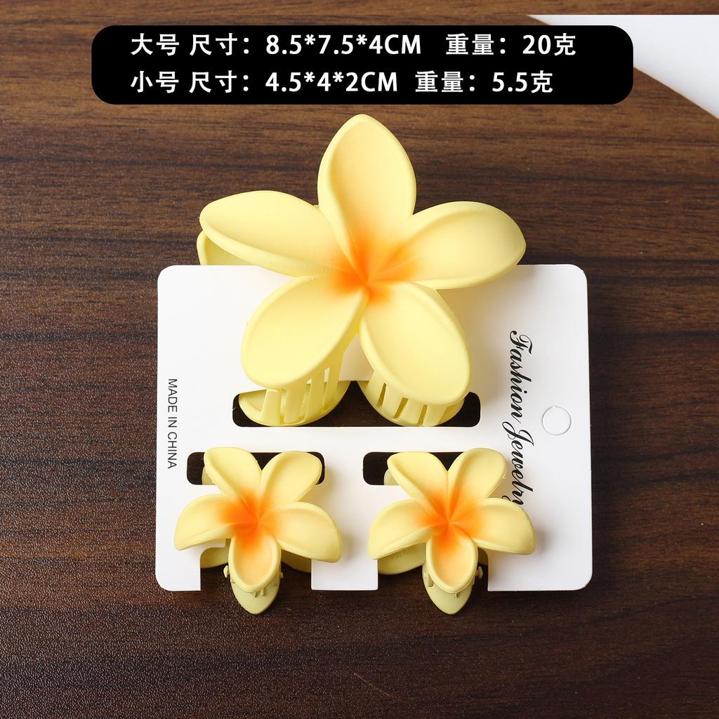 2025 New Egg Flower Grab Clip Retro Color Flower Hair Claw Clip Lady Side Grab Half Grab Back Head Shark