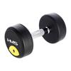 Echipamente de fitness – Gantere