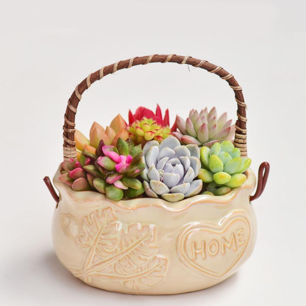 Creative Succulent Planter with Handle Multifunction Resin Flower Pot Corrosion-resistant Decorative Ornament