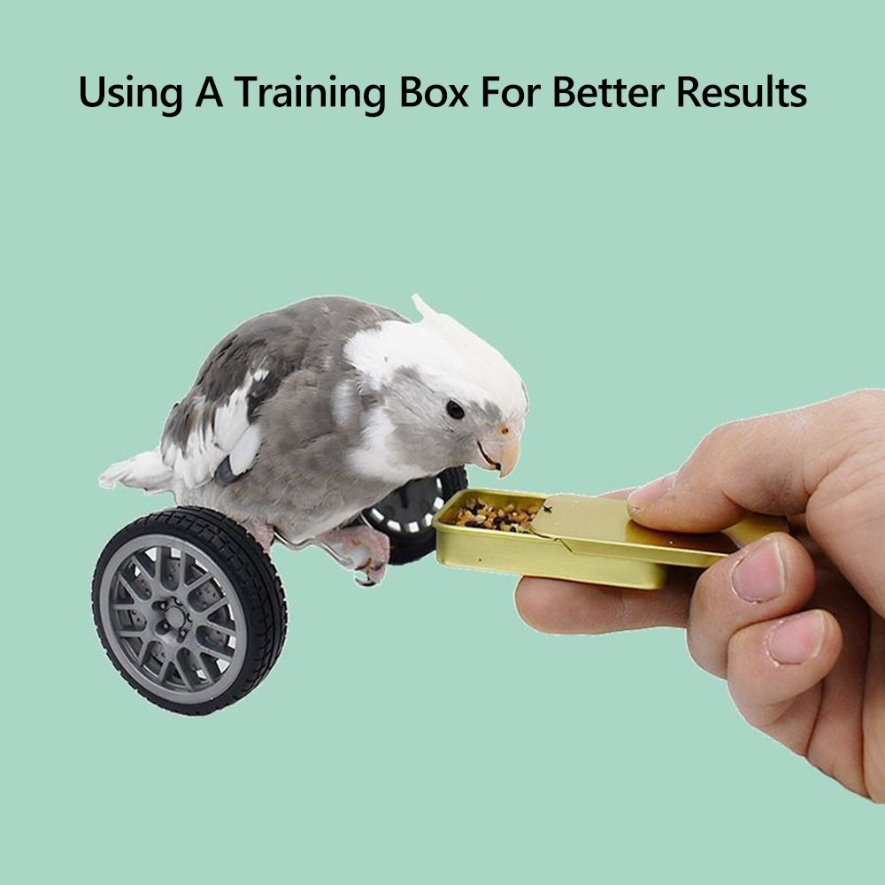 Plastic Parrot Balance Bike Toy Lightweight Birds Intelligence Toy  Cage Accessory