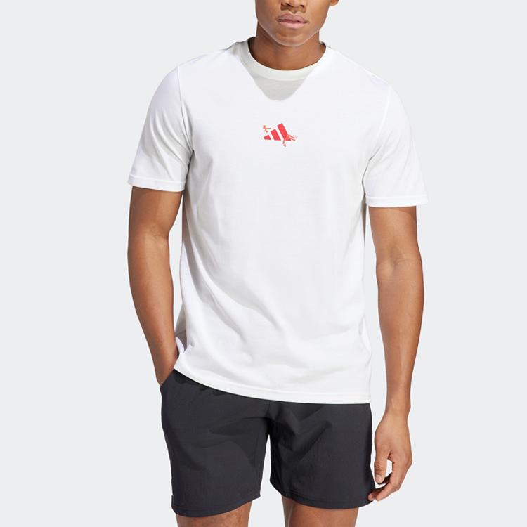 adidas Aeroready Roland Garros Tee Dry Fit Tennis Short Sleeve T-Shirt Men Tops White HT5227