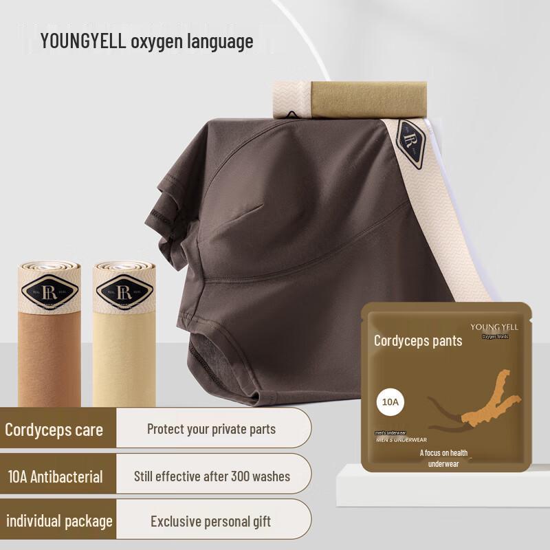 

YOUNGYELL Мужские хлопковые антибактериальные боксеры-брифы большого размера, 3 шт. 4XL