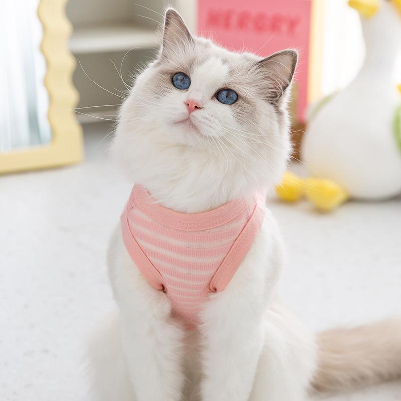 Spring and summer breathable cat vest hollow striped traction vest into kitten thin two-legged pet clothes