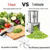 Stainless Steel Vegetable & Fruit Crusher/Cutter for Home & Farm Use