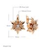 New  Rose Gold Sexy Earrings Unusual Metal Flower Natural Zircon Women'S Earrings Party Girls Exaggerated Jewelry