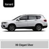 Haval H6 Cool Dog Touch-Up Pen, Black Spot & Ruixue White Scratch Repair Paint