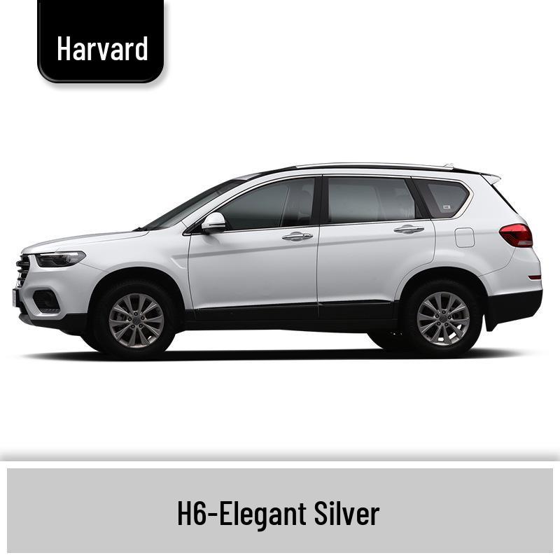 Haval H6 Cool Dog Touch-Up Pen, Black Spot & Ruixue White Scratch Repair Paint