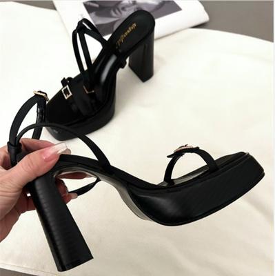 New High-heeled Women's Shoes with Square Toe and Straight Buckle Thick Heel Platform Sandals Shoes for Women