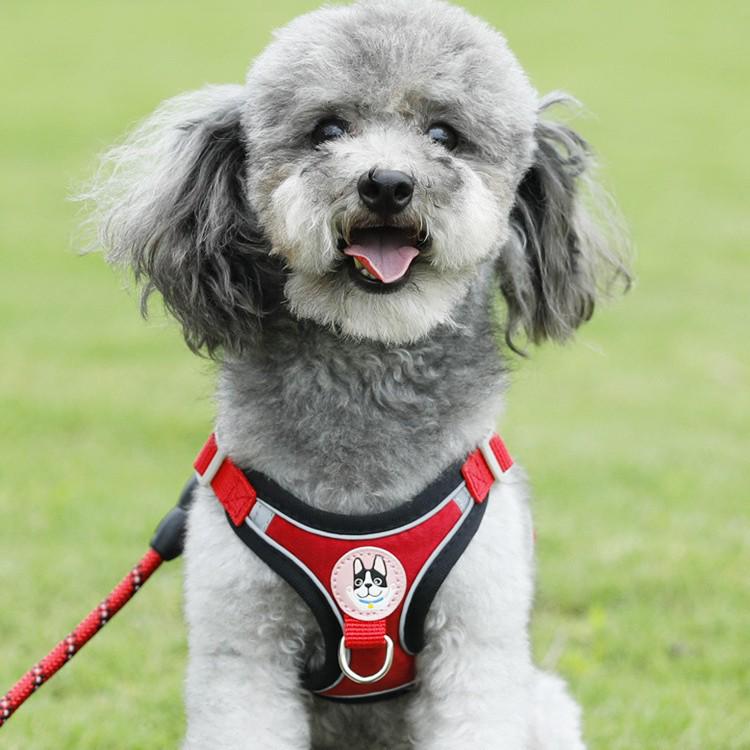 Reflective Vest-Style Harness with Leash for Small Dogs