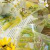 PET Tape Beautiful Time Series Garden Scenery Character Pattern Hand Account Landscape Tape DIY Greeting Card Cup Decoration